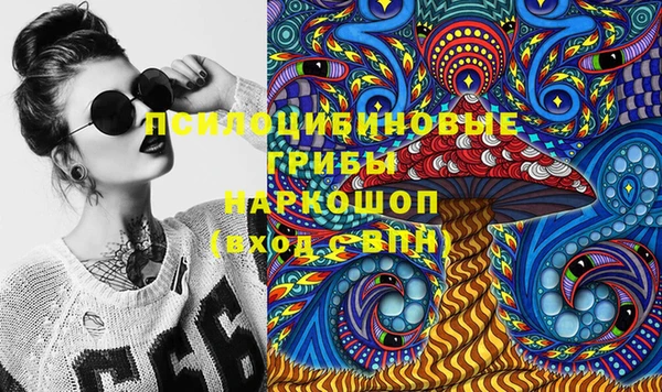дмт Кукмор