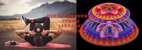 твердый Костерёво