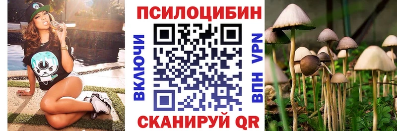Псилоцибиновые грибы Psilocybine cubensis  наркотики  Тимашёвск 